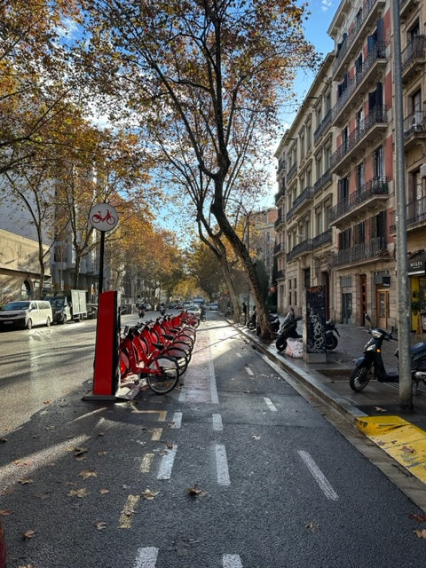 Barcelona in December - Bicing Station