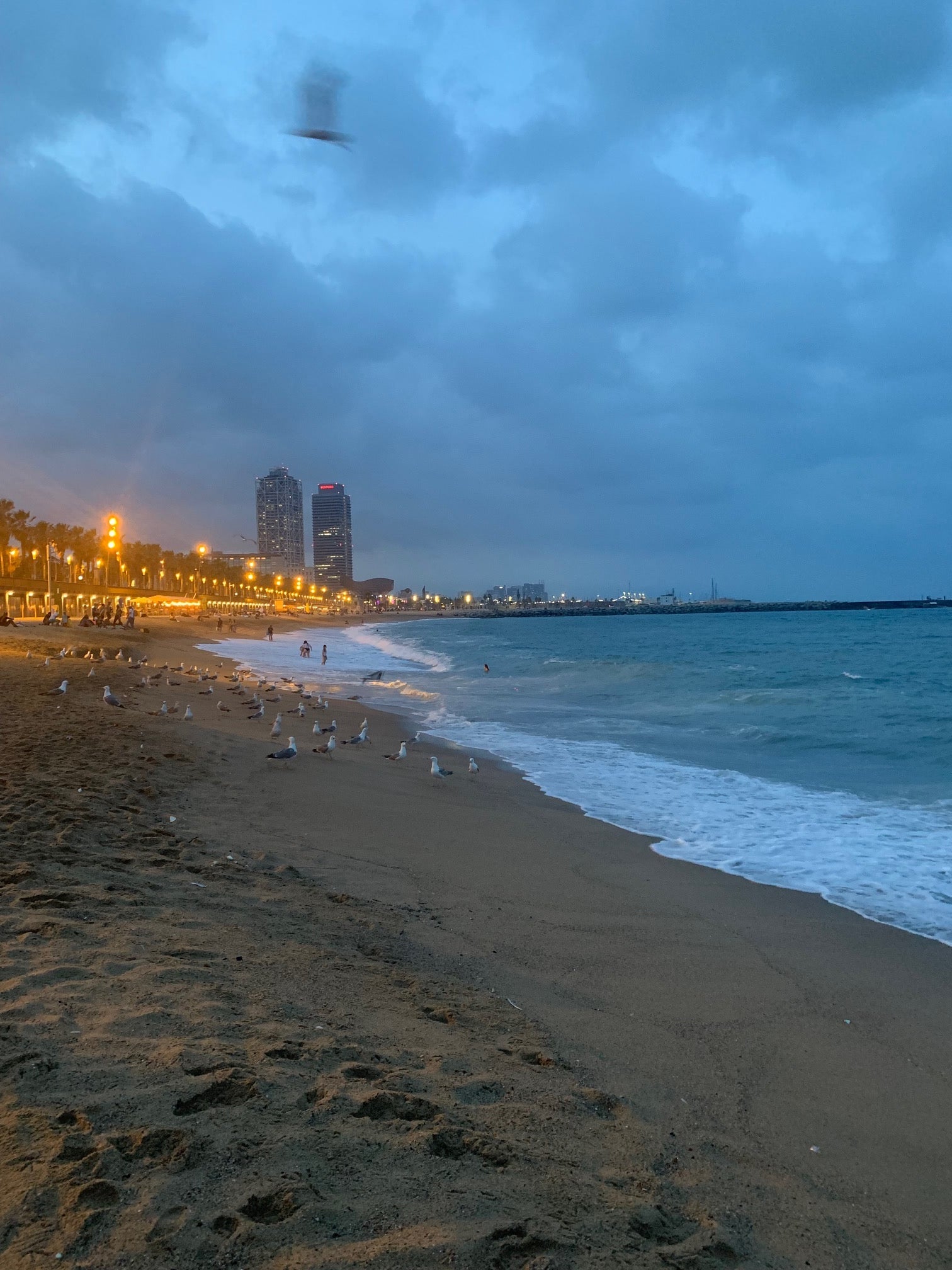 Barcelona in June - Enjoy a warm breeze!, image size:1512x2016