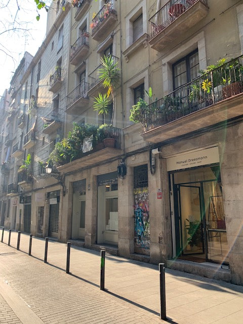 Barcelona Shopping Street Carrer del Rec 20