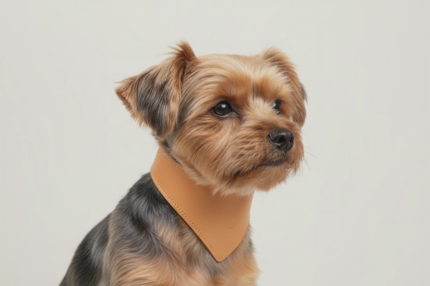 Dog Collar Brown Colour Leather Vegetable Tanned Modern Minimal Design Premium Quality Atelier Madre Manuel Dreesmann Barcelona Spain